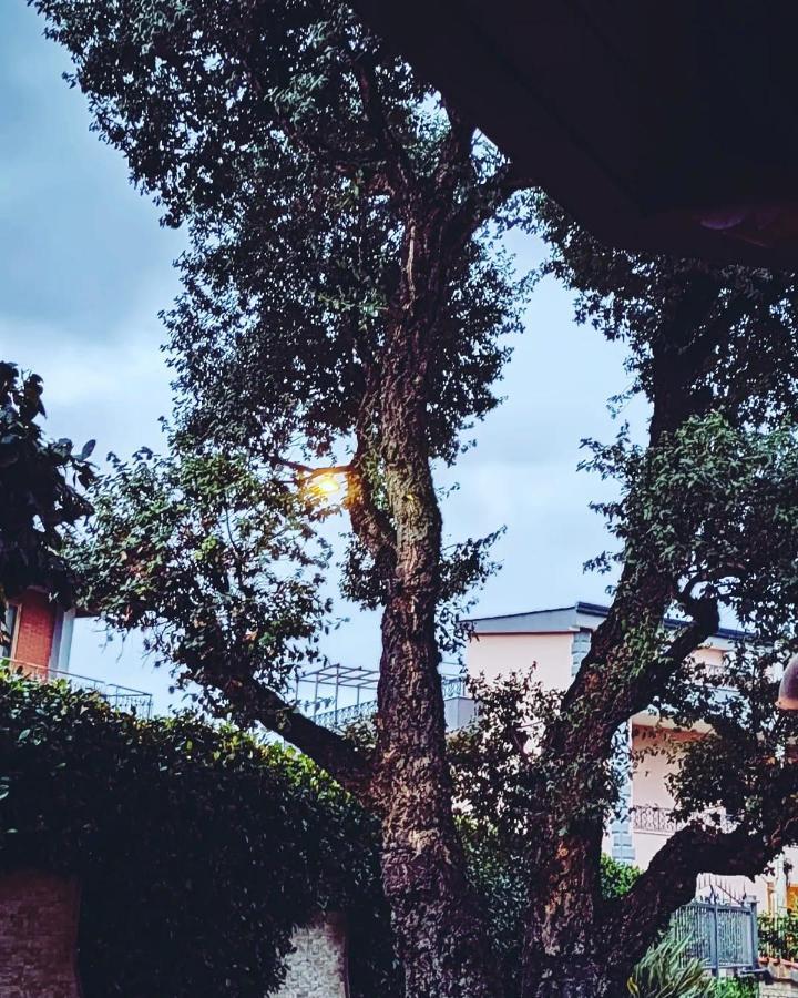 Elisabetta *