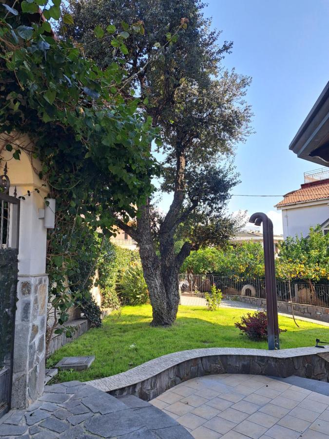 Bed & Breakfast Elisabetta *